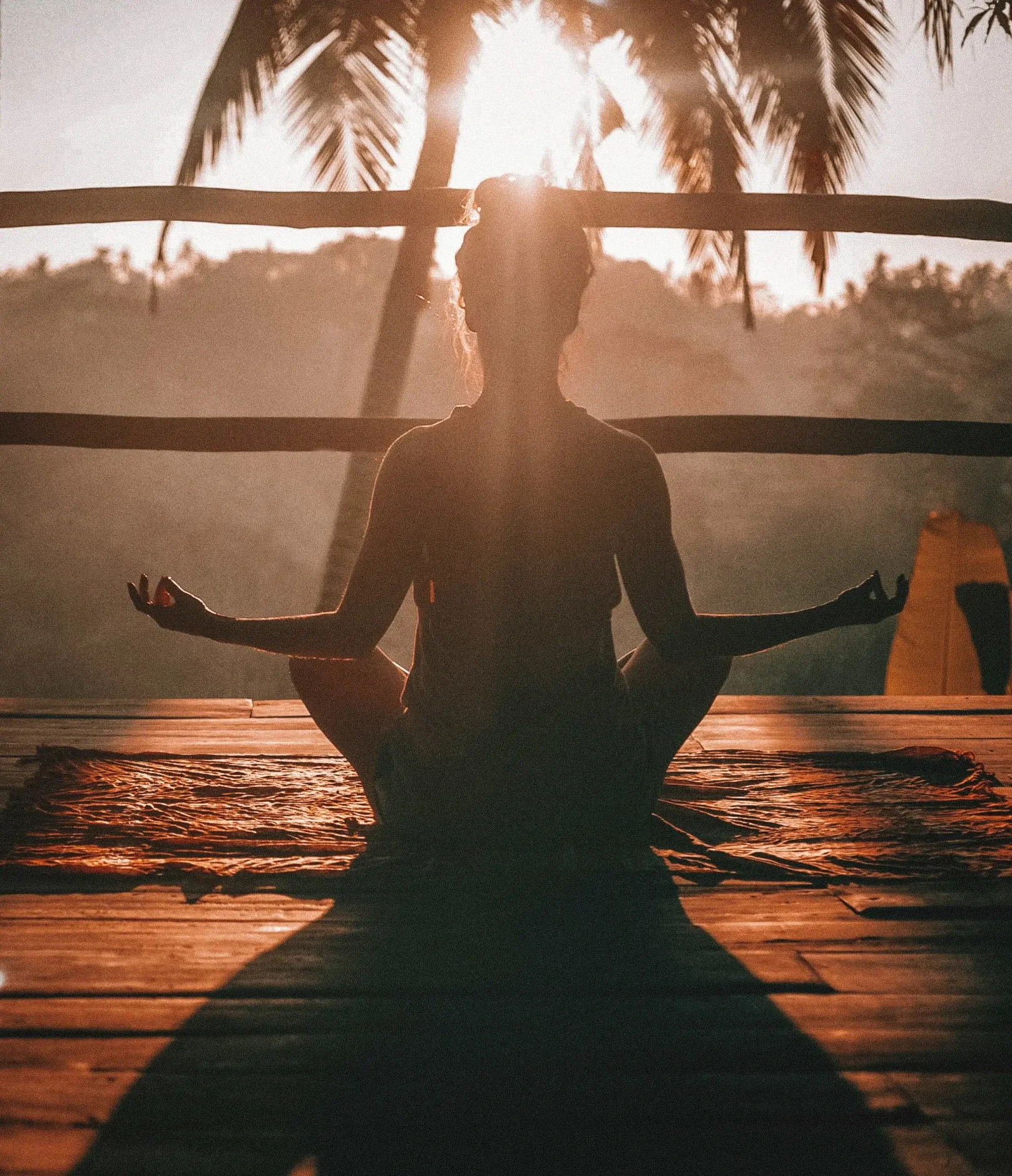 Meditation Sessions
